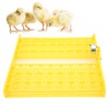 Automatic Egg Turner 48 Eggs ABS Automatic Egg Turner for