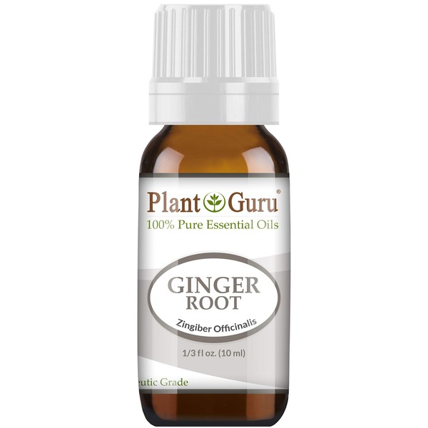 Fresh Ginger (Root) Essential Oil 10 ml 100% Pure Undiluted