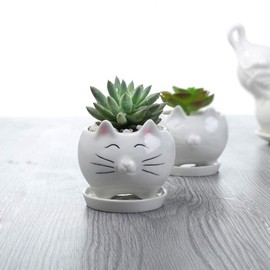 Gemseek Cute Mermaid Succulent Planter Pot with Bamboo Drainage Tray, White Ceramic Cactus/Flower Container, Desktop Bonsai Holder for Indoor Home Decor