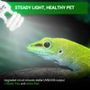 REPTI ZOO UVB Light for Tropical Reptile, 2 Pack 5.0