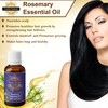 Precious Aromas Rosemary Oil for Hair Growth,Skin,Aromatherapy 100% Pure &