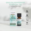 Tisserand Aromatherapy | English Peppermint | 100% Natural Pure Essential