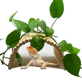 Hamiledyi Wooden Reptile Hideout Bearded Dragon Bendy Bridge Climbing Ladder Hiding Hut Reptiles Hide Cave Habitat Decor for Lizards Gecko Spiders Snakes Tortoise(15.66 x 7.8in)