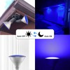 Blue Dusk to Dawn PAR38 LED Flood Light Bulbs with