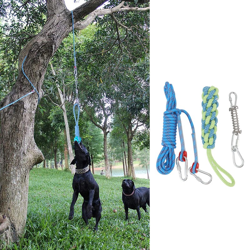 Spring Pole Dog Rope Toy Muscle Builder Interactive Dog Hanging