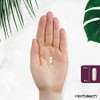 Hyaluronic Acid Supplement 900mg | 90 Vegan Capsules | High