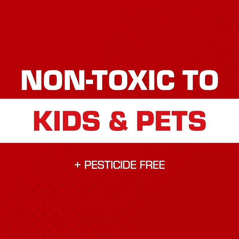 Tomcat Super Hold Glue Traps Mouse Size Bundle, 48 Traps