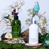 THANN Shower Gel (New Oriental Essence)
