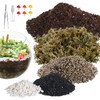 Terrarium Kit Adults - Includes Pumice, Moss, Soil, Pebbles, Charcoal,