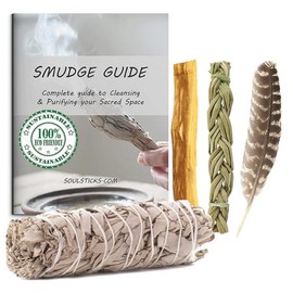 Ancient VEDA Organic Smudge Kit – California White Sage, Palo Santo, Sweetgrass Braid, Feather & Smudge Guide | Home Cleansing Kit for Meditation, Yoga, Energy Healing & Gift (Starter Kit, White Sage)