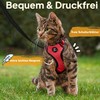 Tierhood Cat Harness with Lead [New Lightweight Version] - Cat