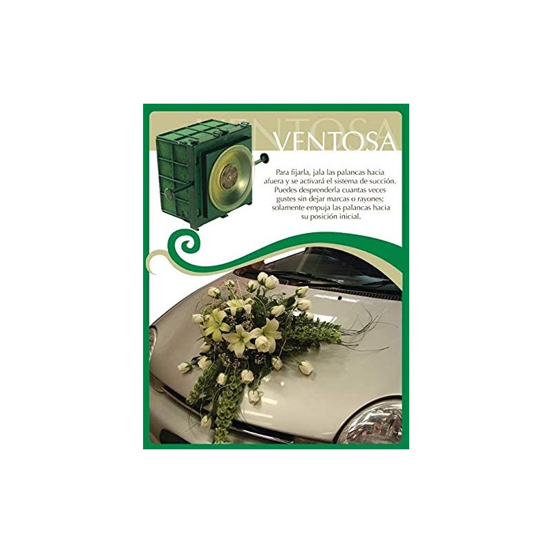 Ventosa OASIS® (12 piezas) - Mecánico de espuma floral