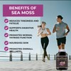 Irish SEA Moss Gummies | 120 Gummies | HIGH Strength