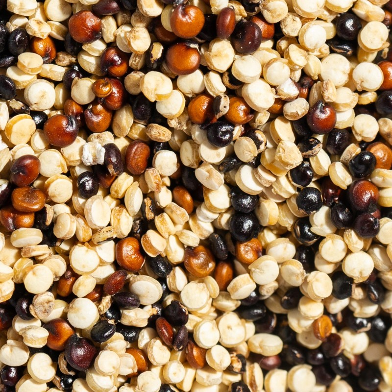 SIMPLi Regenerative Organic Certified Tri-Color Quinoa, Ancient Grain, Complete Plant-Based