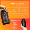 B Life Berberina HCL Pura 1000 mg | 200 Cápsulas