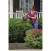 BLACK+DECKER 18-Inch Electric Hedge Trimmer (BEHT200)