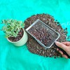 Gardening Soil Sifter Pack of 2 - Potting Soil Scoop