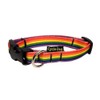 EcoWeave-SkinnyWidth Collar de plástico - Pride-Small