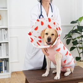 BurgeonNest Recovery Suit for Dogs + Cone Collar After Surgery, Dual Prevent Licking Dog Onesie Surgical Suit for Dogs Female Male Spay, Adjustable Soft Dog Cone Alternative Pet Cat Dog Body Suit, L