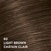L’Oréal Paris Feria Multi-Faceted Shimmering Permanent Hair Dye, 60 Light