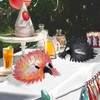 HSSPYY Plastic Masks with False Feather Beaks for Carnival Parties