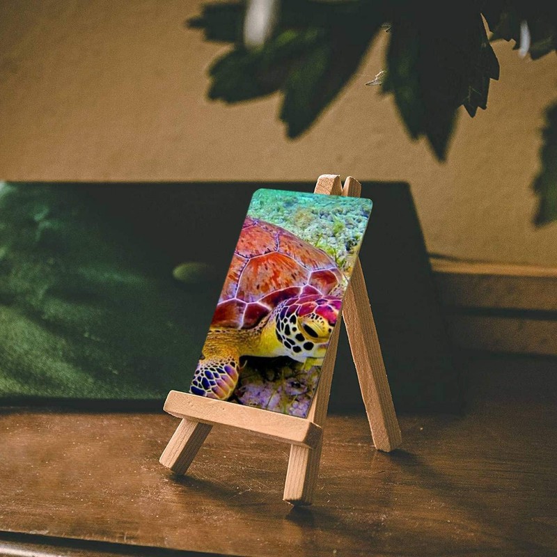 EBOOBA 25pcs Mini Stands 5 Cards Photo Display Small Canvas