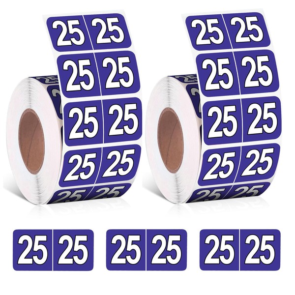 1000 Pieces 2025 Year Stickers File Folder Year Labels Rectangle