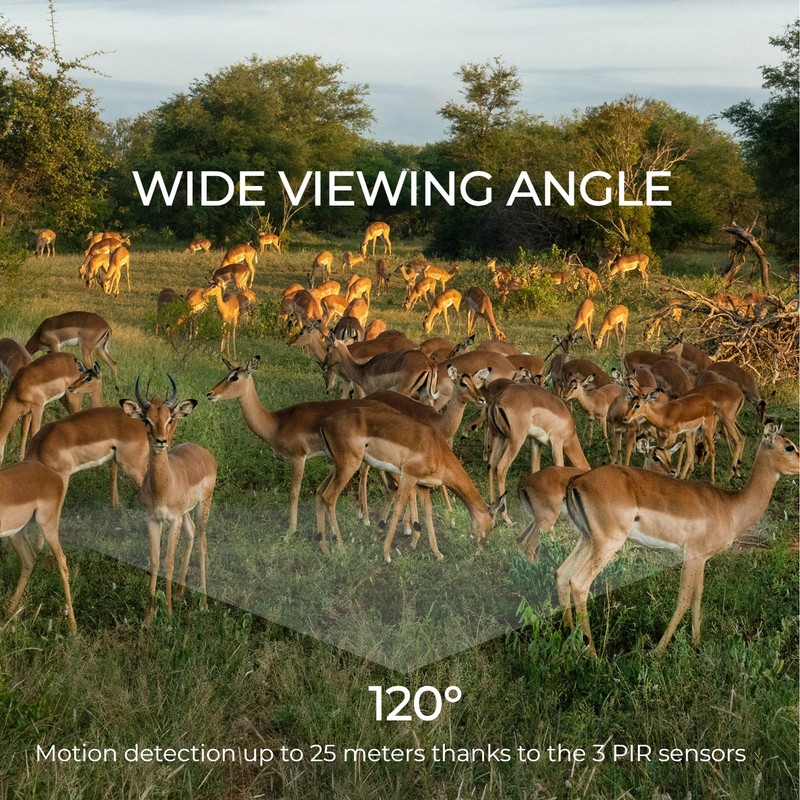 Denver WCL-8040 Wildlife Camera