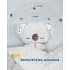 auby Soothe n' Cuddle Koala EC461553