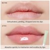 Summer Special Lip Butter Balm, 2 Colors Nourishing Tinted Lip