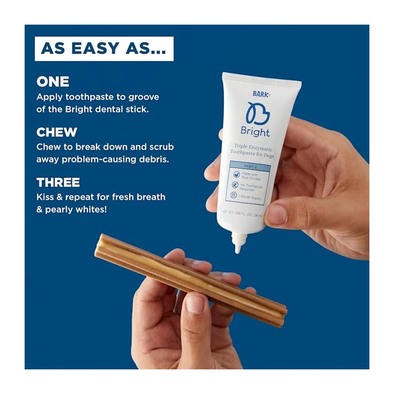 Bark BARK Bright Large Dental Kit for Dogs, 26.29 oz,31