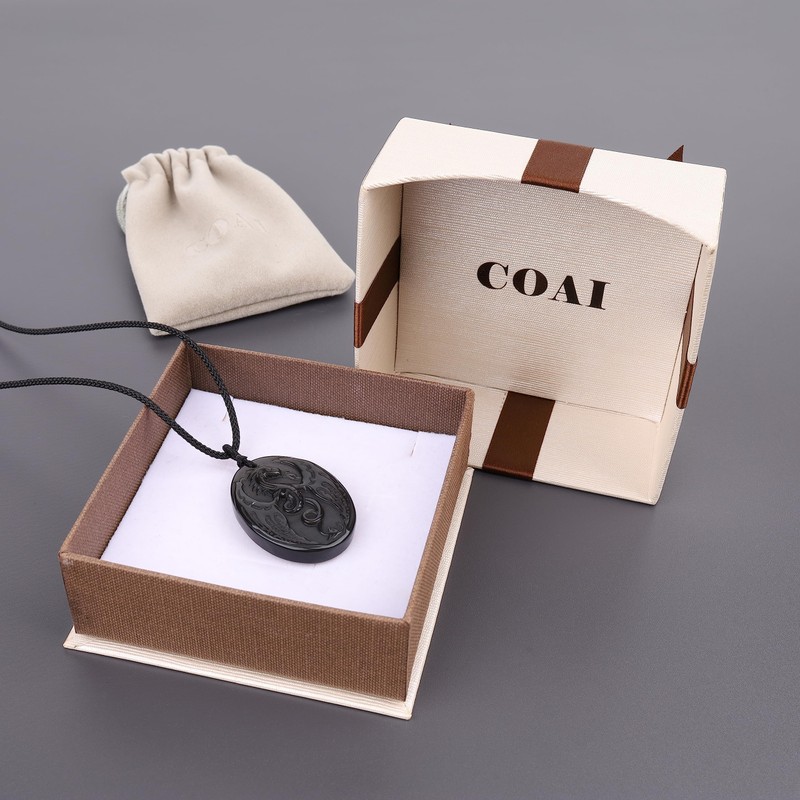 coai Mens Black Obsidian Stone Dragon Amulet Pendant Necklace