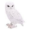 Nemesis Now Snowy Watch Large 20cm, Resin, White, One Size
