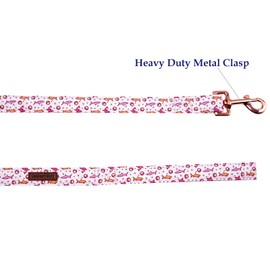 Lionheart glory Strong Dog Leash, Pink Shark Durable Dog leashes with Soft Handle for Walking Training Small Male or Female Dogs