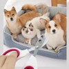 (For Small to Large Pets) Safe Round Hole Pet Nail