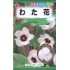 Tohoku Co., Ltd. Wataha 09347