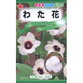 Tohoku Co., Ltd. Wataha 09347