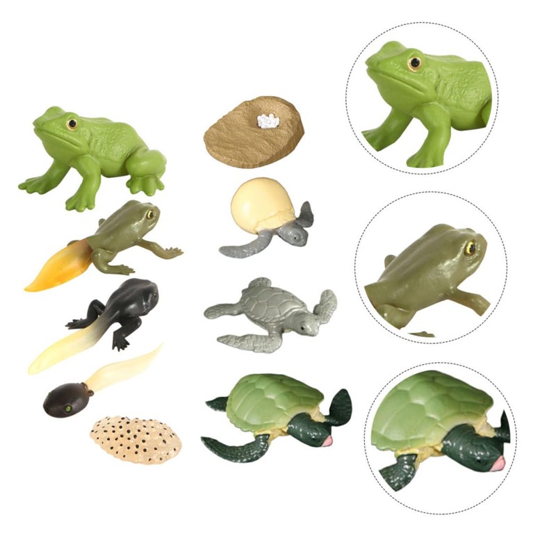 CIYODO 2 Sets Creative Simulation Frog Turtle Growth Model Animal