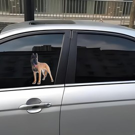 Autoaufkleber Belgische Malinois Autoaufkleber 22cm(8.7 Inch) 3D Zerrissen Aufkleber Belgische Schäferhund Wasserdichte Aufkleber Haustier Hund Lustig Reflektierende Aufkleber Autofenster Dekor