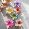 2022 New Flower Hair Clips,Acrylic Black Hair Clips，Wonderful Gift,Strong Hold