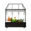 Large Tall Glass Plant Terrarium – House Succulent Terrarium Kit