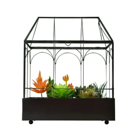 Large Tall Glass Plant Terrarium – House Succulent Terrarium Kit with Lip and Tray Glass Greenhouse Terrarium for Plant 9.5”X5.7”X11.4”