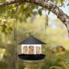 QZLOHOM Wild Bird Feeder, Large Capacity Hanging Bird Feeder with