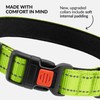CollarDirect Reflective Dog Collar for Small Medium Large Dog Puppy