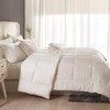HYPREST Velvet Comforter King,3 Pcs Luxury Elegant Velvet Duvet,Ultra Soft