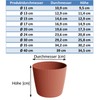 Tymar Flowerpot, planter, pack of 2, round shape (2 pack),