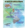 Acupuntura Bioenergetica Kit Basico Para Auriculoterapia