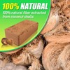 Anothera Anothera Coco Coir Brick for Plants- 12 Pack Premium