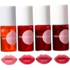 4 PC/SET Juego de glaseado de labios Fórmula natural larga
