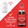 Lievito di Riso Rosso | Ricco di Coenzima Q10 |